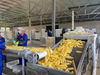 Ready-to-eat Fresh Sweet Corn Processing Line