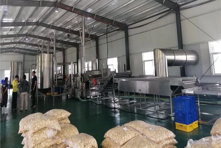 Innovative Use of Potato Chips Production Line for Banana Chips