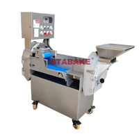 Double Cutting Head Frequency Vegetable Cutter Machine