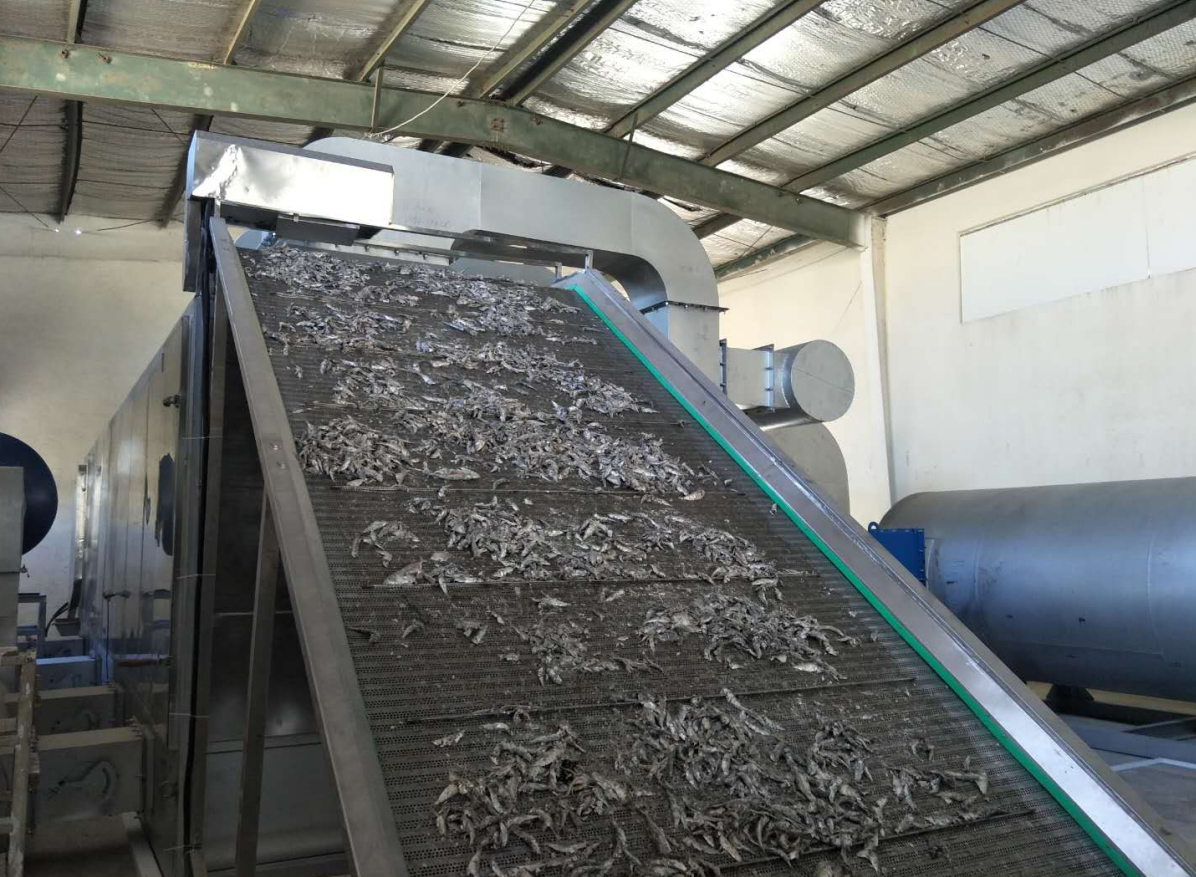 Transform Your Fish Drying Process with Fruit Vegetable Drying Machine