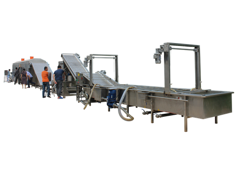 Fully Automatic Raisin Washing And Drying Processing Line