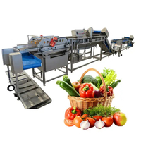 IQF Freezing Frozen Fruit And Vegetable Production Line