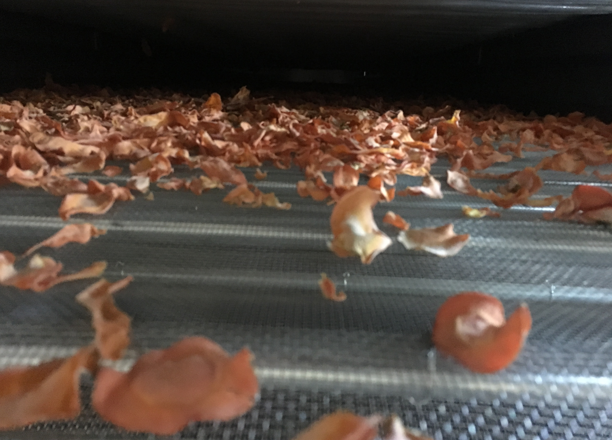 carrot drying process2