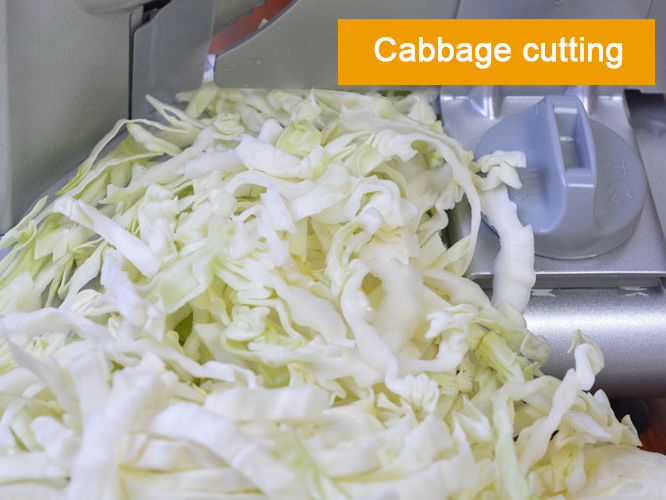 Cabbage cutting