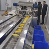 Raw Corn Pretreatment Processing Line