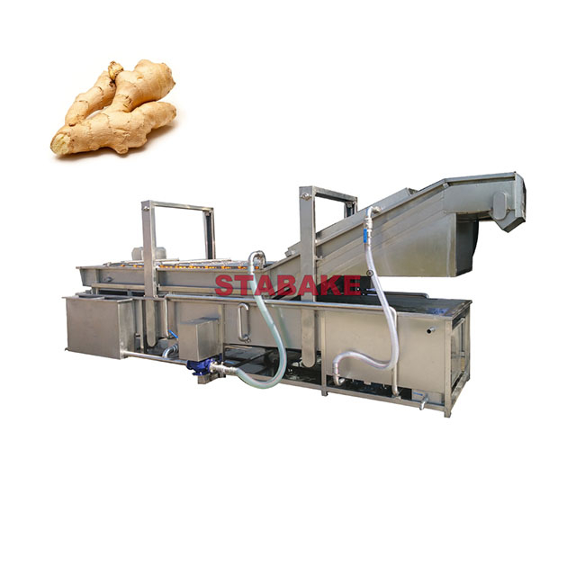 Ginger Washing Processing Line