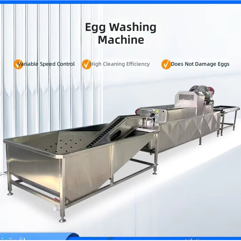 Fresh Egg Washing Drying &light Inspection Line