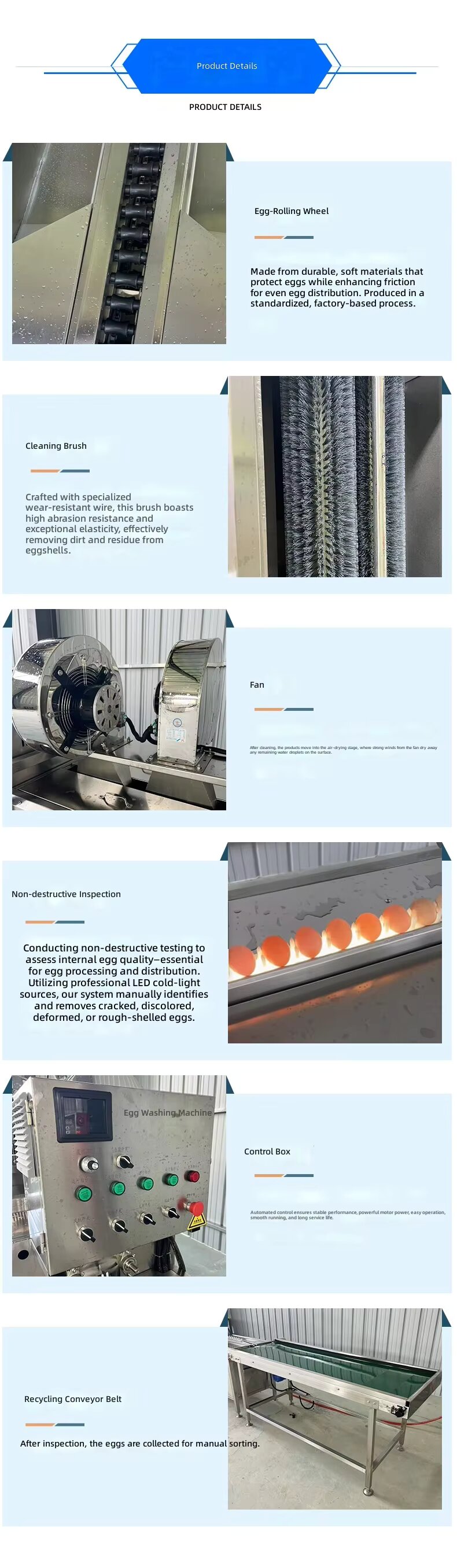 egg washer details