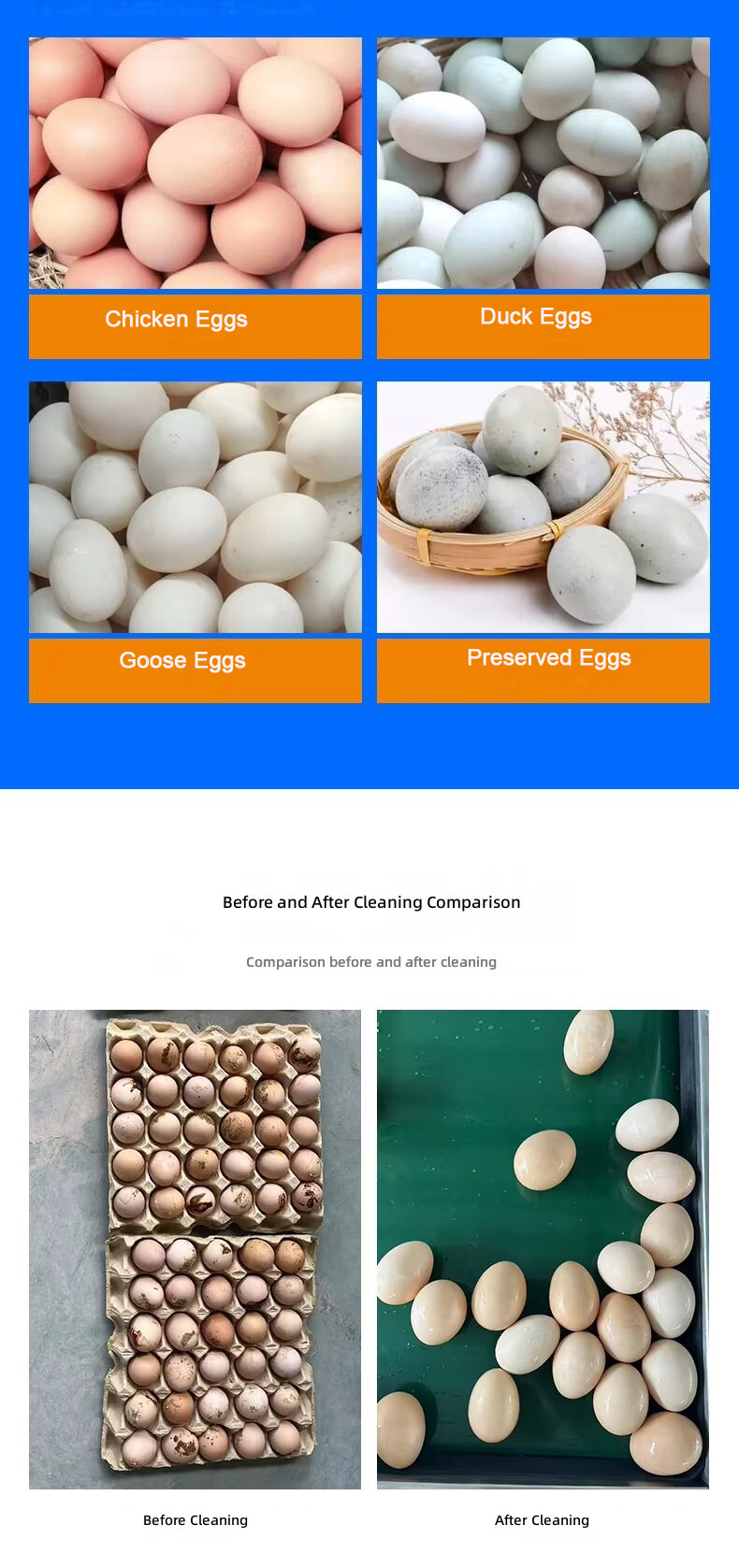clean eggs 1